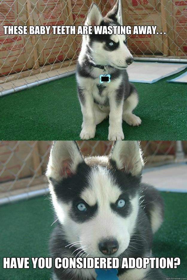 these baby teeth are wasting away. . . have you considered adoption?  Insanity puppy