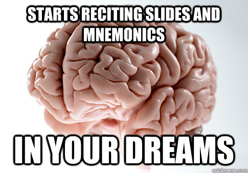 starts reciting slides and mnemonics in your dreams  Scumbag Brain