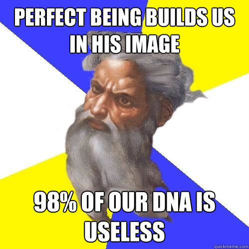 perfect being builds us in his image 98% of our DNA is useless  Advice God