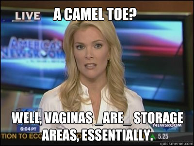 A camel toe? Well, Vaginas _are_ storage areas, essentially. - A camel toe? Well, Vaginas _are_ storage areas, essentially.  Megyn Kelly