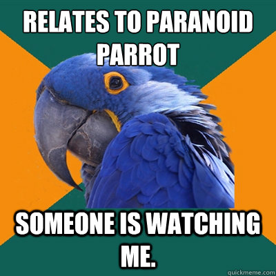 Relates to Paranoid Parrot  Someone is watching me.  Paranoid Parrot