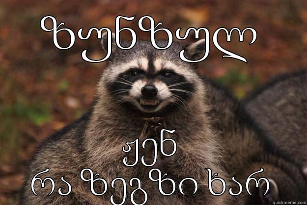 ზუნზულ ჟენ რა ზეგზი ხარ Evil Plotting Raccoon