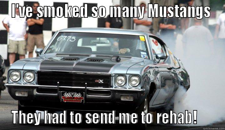 I'VE SMOKED SO MANY MUSTANGS THEY HAD TO SEND ME TO REHAB!      Misc