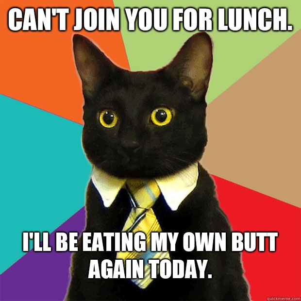 Can't join you for lunch.  I'll be eating my own butt again today.   Business Cat