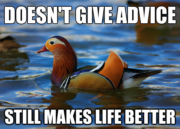 Doesn't give advice Still makes life better - Doesn't give advice Still makes life better  Overly Attractive Duck