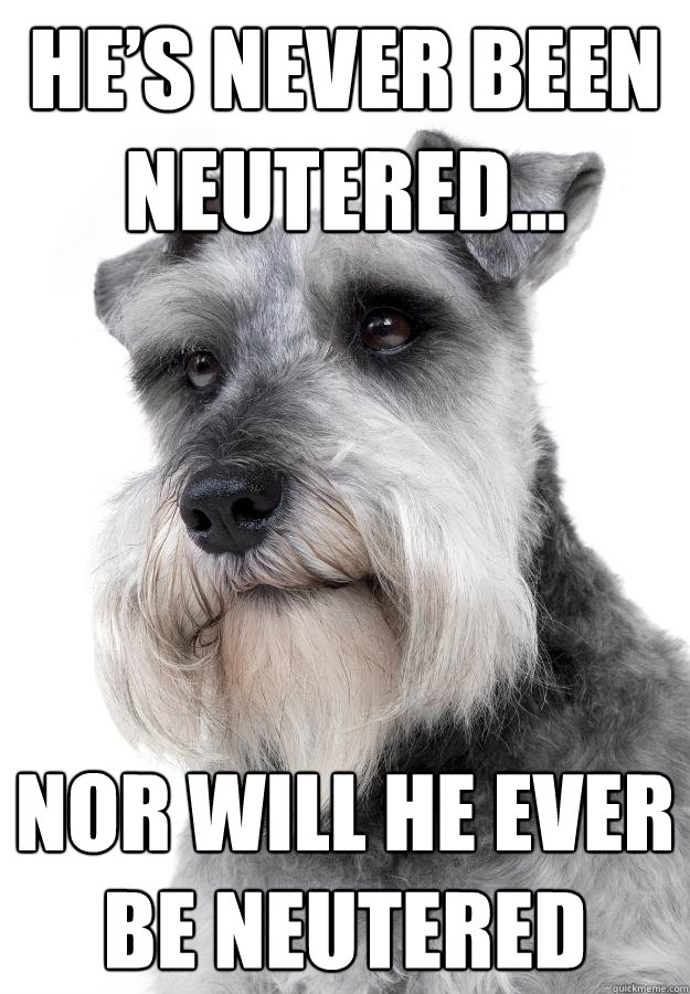 He’s never been neutered...  nor will he ever be neutered  - He’s never been neutered...  nor will he ever be neutered   The Most Interesting Dog in the World