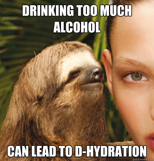 DRinking too much alcohol can lead to d-hydration  Whispering Sloth