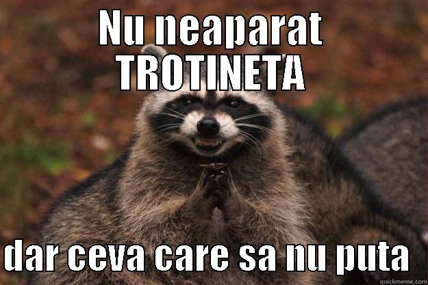 NU NEAPARAT TROTINETA  DAR CEVA CARE SA NU PUTA  Evil Plotting Raccoon