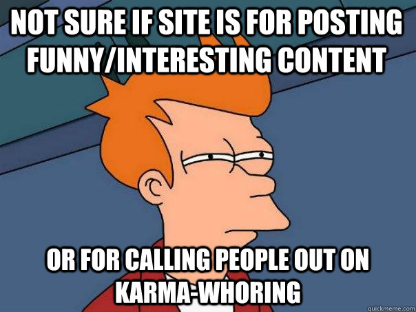 not sure if site is for posting funny/interesting content or for calling people out on karma-whoring  Futurama Fry