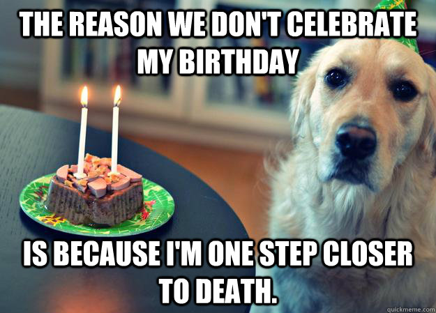 The reason we don't celebrate my birthday Is because I'm one step closer to death.  Sad Birthday Dog