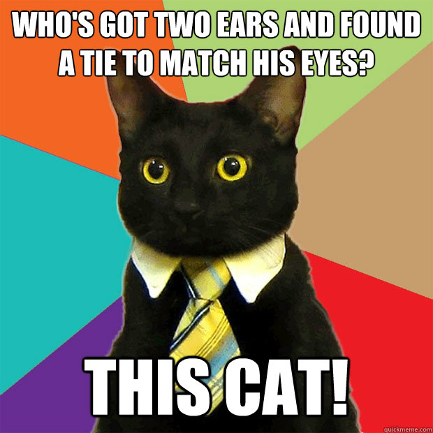 Who's got two ears and found  a tie to match his eyes? This cat!  Business Cat