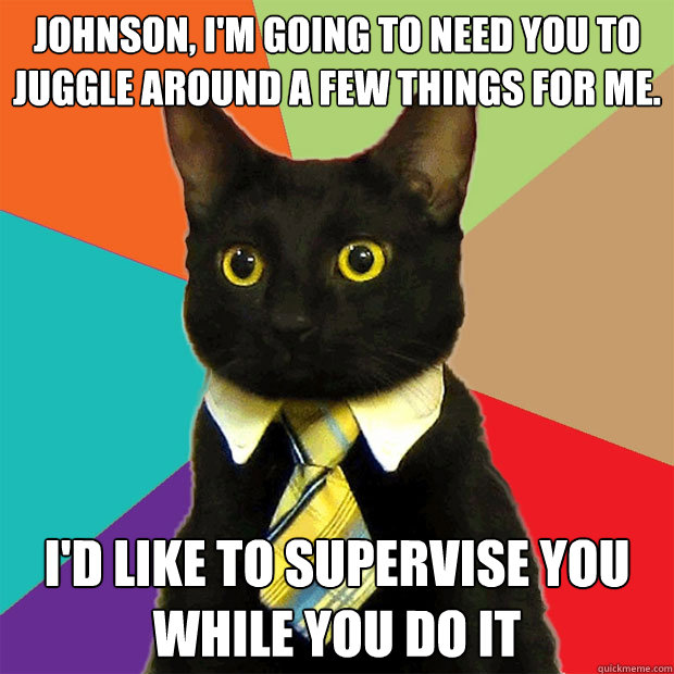 Johnson, I'm going to need you to juggle around a few things for me. I'd like to supervise you while you do it  Business Cat