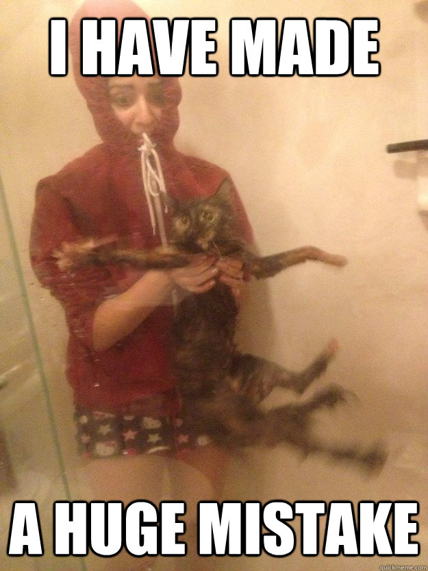 I have made a huge mistake - I have made a huge mistake  cat bath girl