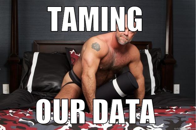 TAMING OUR DATA Gorilla Man