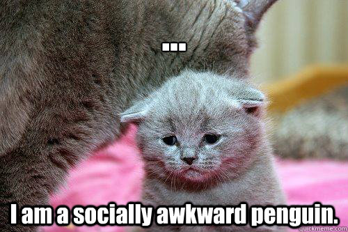 ... I am a socially awkward penguin.  OH GOD WHY CAT