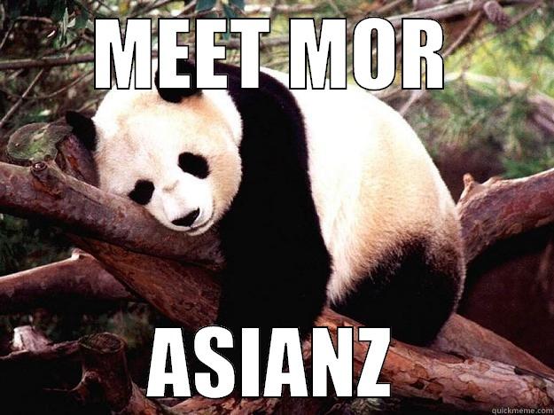 MEET MOR ASIANZ Procrastination Panda