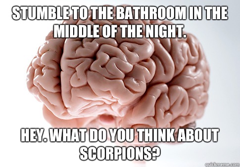 Stumble to the bathroom in the middle of the night. Hey. What do you think about scorpions?  Scumbag Brain