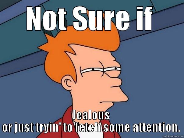 jealous or what - NOT SURE IF JEALOUS OR JUST TRYIN' TO FETCH SOME ATTENTION. Futurama Fry