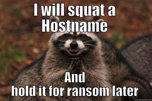 I WILL SQUAT A HOSTNAME AND HOLD IT FOR RANSOM LATER Evil Plotting Raccoon