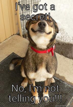 I'VE GOT A SECRET! NO, I'M NOT TELLING YOU!!! Good Dog Greg