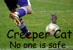 Creeper Cat No one is safe - Creeper Cat No one is safe  Misc