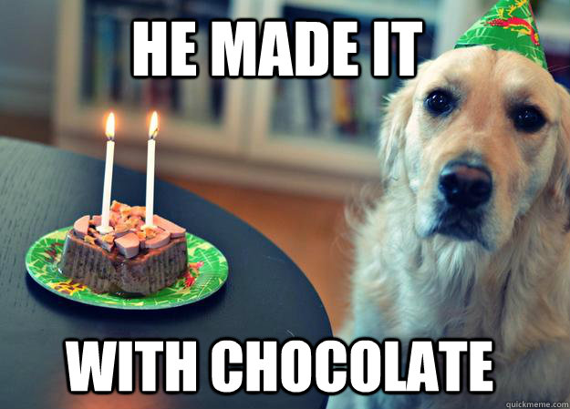 He made it  with chocolate - He made it  with chocolate  Sad Birthday Dog