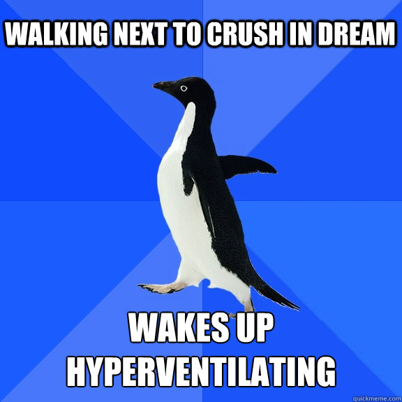 Walking next to crush in dream Wakes up hyperventilating   Socially Awkward Penguin