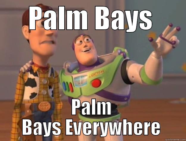 PALM BAYS PALM BAYS EVERYWHERE Toy Story