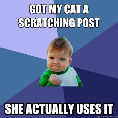 got my cat a scratching post she actually uses it - got my cat a scratching post she actually uses it  Success Kid