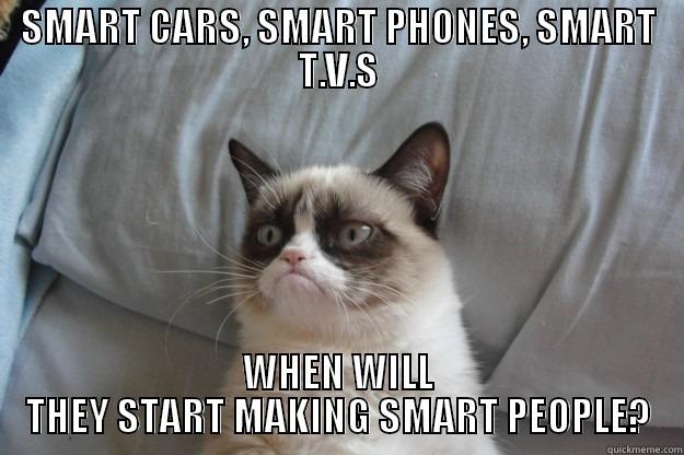 SMART CARS, SMART PHONES, SMART T.V.S WHEN WILL THEY START MAKING SMART PEOPLE? Grumpy Cat