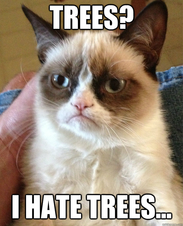 Trees? I hate trees...  Grumpy Cat