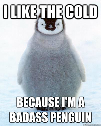 I LIKE THE COLD BECAUSE I'M A  
BADASS PENGUIN  Cold Badass Penguin