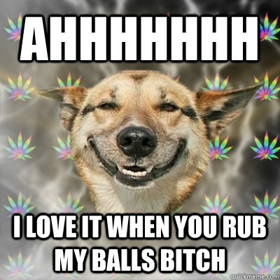 ahhhhhhh i love it when you rub my balls bitch  Stoner Dog