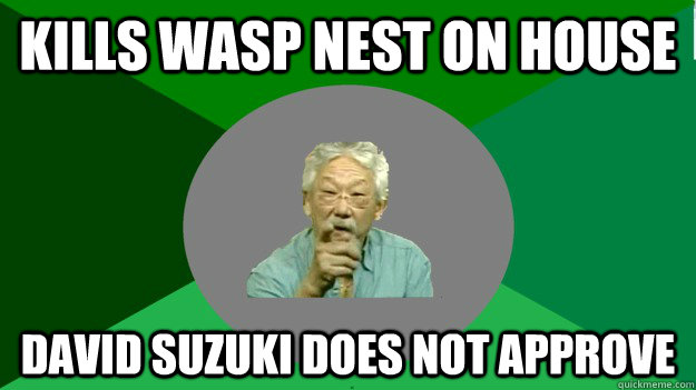 kills wasp nest on house David Suzuki Does not approve  