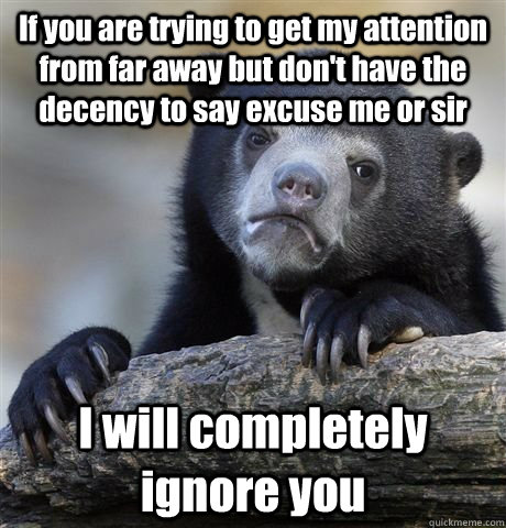 If you are trying to get my attention from far away but don't have the decency to say excuse me or sir I will completely ignore you  Confession Bear