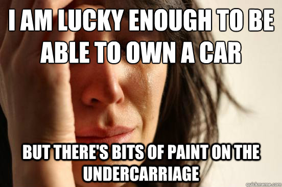 I am lucky enough to be able to own a car but there's bits of paint on the undercarriage  - I am lucky enough to be able to own a car but there's bits of paint on the undercarriage   First World Problems