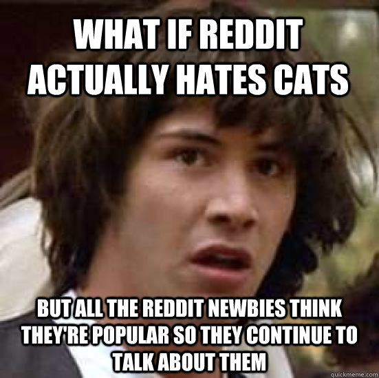 What if reddit actually hates cats but all the reddit newbies think they're popular so they continue to talk about them  conspiracy keanu