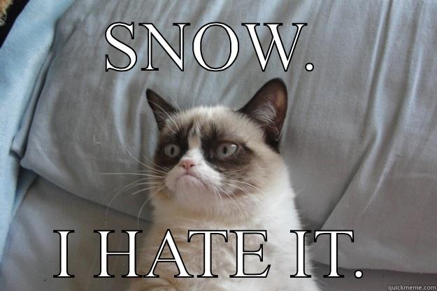 SNOW. I HATE IT. Grumpy Cat