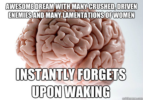 Awesome dream with many crushed, driven enemies and many lamentations of women instantly forgets
upon waking  Scumbag Brain