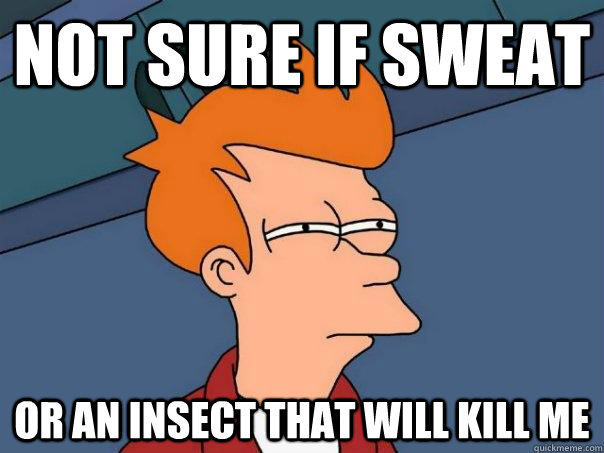 Not sure if sweat Or an insect that will kill me  Futurama Fry