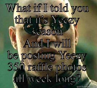 WHAT IF I TOLD YOU THAT IT'S YEEZY SEASON AND I WILL BE POSTING YEEZY 350 RAFFLE PHOTOS ALL WEEK LONG? Matrix Morpheus