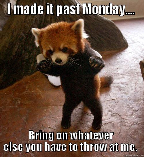 Bring it on - I MADE IT PAST MONDAY.... BRING ON WHATEVER ELSE YOU HAVE TO THROW AT ME.  Misc