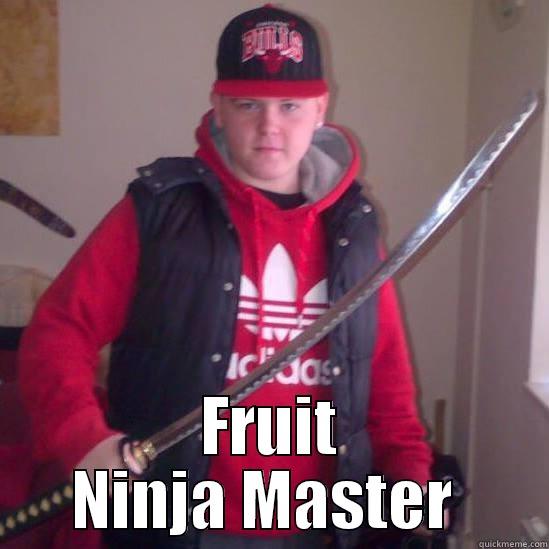  FRUIT NINJA MASTER  Misc