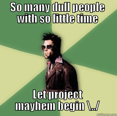 SO MANY DULL PEOPLE WITH SO LITTLE TIME LET PROJECT MAYHEM BEGIN \../ Helpful Tyler Durden