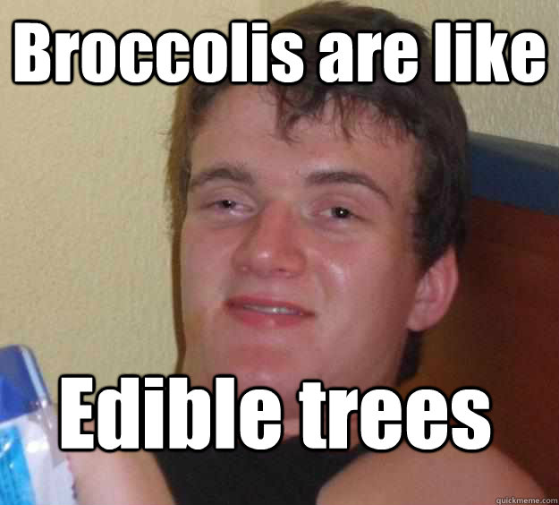 Broccolis are like Edible trees  10 Guy