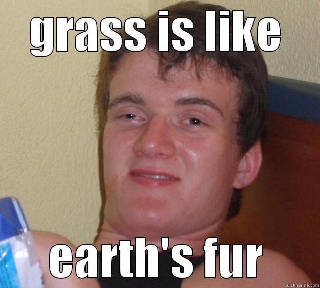 earth's fur - GRASS IS LIKE EARTH'S FUR 10 Guy