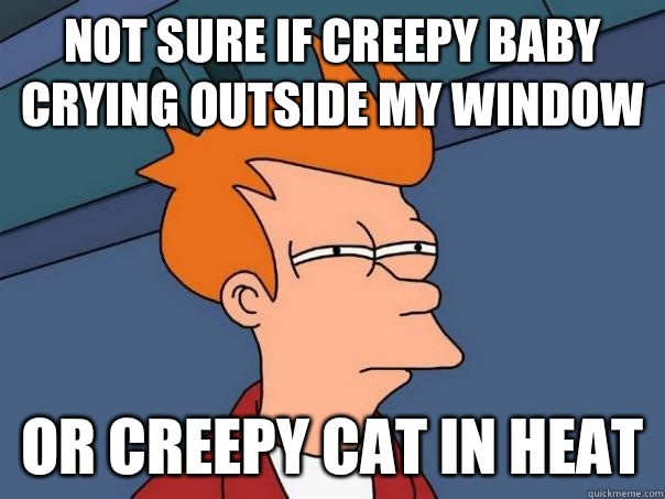 Not sure if creepy baby crying outside my window Or creepy cat in heat - Not sure if creepy baby crying outside my window Or creepy cat in heat  Futurama Fry