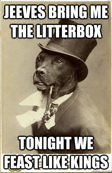 Jeeves bring me the litterbox tonight we feast like kings  Old Money Dog