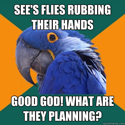 See's flies rubbing their hands Good god! what are they planning? - See's flies rubbing their hands Good god! what are they planning?  Paranoid Parrot