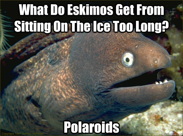 What Do Eskimos Get From Sitting On The Ice Too Long? Polaroids - What Do Eskimos Get From Sitting On The Ice Too Long? Polaroids  Bad Joke Eel